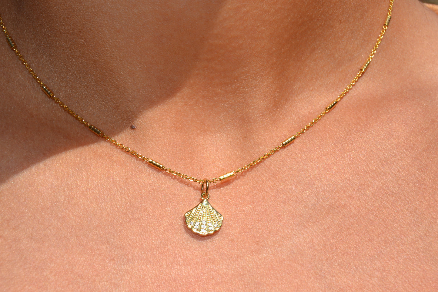 Women's Shell Necklace